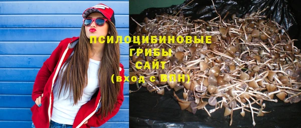 прущая мука Арсеньев