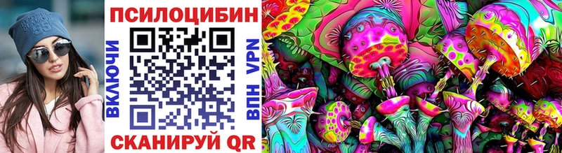 блэк спрут онион Орлов Псилоцибиновые грибы GOLDEN TEACHER